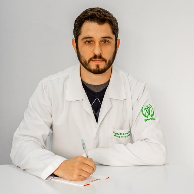 Dr. Angelo Canabarro